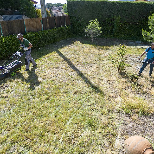 Jardinería en General