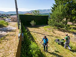 jardinesgredos-es_trabajos_matenimiento_jardines_0001.jpg