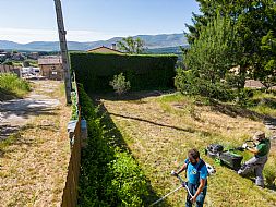 jardinesgredos-es_trabajos_matenimiento_jardines_0002.jpg