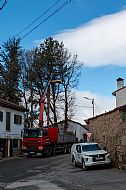 jardinesgredos-es_trabajos_poda_en_altura_0006.jpg