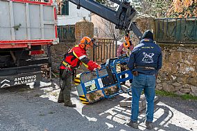 jardinesgredos-es_trabajos_poda_en_altura_0007.jpg