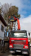 jardinesgredos-es_trabajos_poda_en_altura_0009.jpg