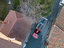 jardinesgredos-es_trabajos_poda_en_altura_0010.jpg