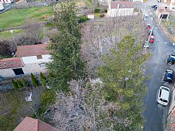 jardinesgredos-es_trabajos_poda_en_altura_0011.jpg