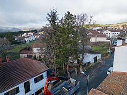 jardinesgredos-es_trabajos_poda_en_altura_0012.jpg