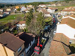 jardinesgredos-es_trabajos_poda_en_altura_0014.jpg