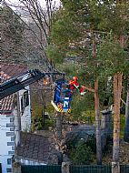 jardinesgredos-es_trabajos_poda_en_altura_0016.jpg