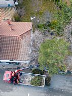 jardinesgredos-es_trabajos_poda_en_altura_0019.jpg