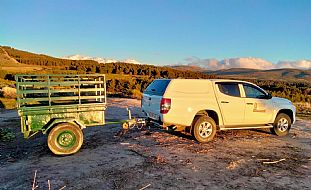 jardinesgredos-es_trabajos_varios_0040.jpg